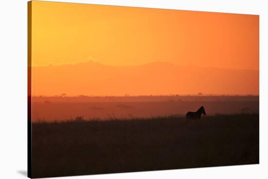 Burchell's zebra at sunrise (Equus quagga), Serengeti National Park, Tanzania, East Africa, Africa-Ashley Morgan-Stretched Canvas