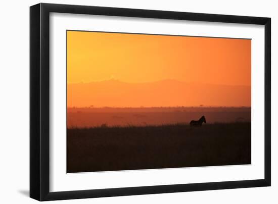 Burchell's zebra at sunrise (Equus quagga), Serengeti National Park, Tanzania, East Africa, Africa-Ashley Morgan-Framed Photographic Print