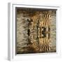 Burchell's zebra drinking at sunrise, Masai Mara, Kenya, Africa-Adam Jones-Framed Photographic Print