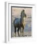 Burchell's Zebra (Equus Burchelli) Covered in Mud, Etosha National Park, Namibia, Africa-Steve & Ann Toon-Framed Photographic Print