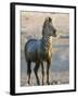 Burchell's Zebra (Equus Burchelli) Covered in Mud, Etosha National Park, Namibia, Africa-Steve & Ann Toon-Framed Photographic Print