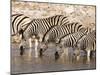 Burchell's Zebra (Equus Burchellii), Etosha National Park, Namibia, Africa-Sergio Pitamitz-Mounted Photographic Print