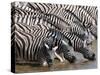 Burchell's Zebra (Equus Burchellii), Etosha National Park, Namibia, Africa-Sergio Pitamitz-Stretched Canvas