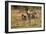 Burchell's Zebra Foal and Mother-Michele Westmorland-Framed Photographic Print