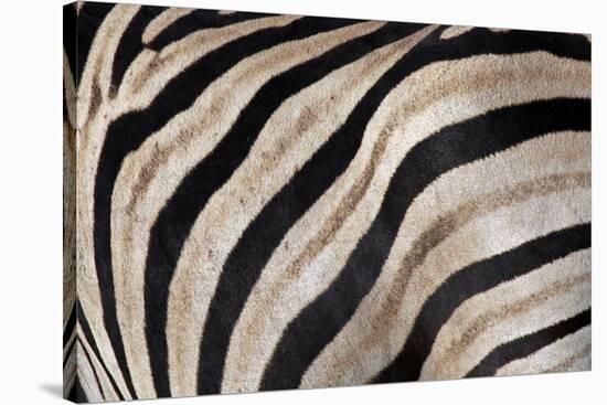 Burchell's Zebra Stripes, Etosha Namibia-Kymri Wilt-Stretched Canvas