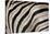 Burchell's Zebra Stripes, Etosha Namibia-Kymri Wilt-Stretched Canvas