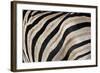 Burchell's Zebra Stripes, Etosha Namibia-Kymri Wilt-Framed Photographic Print