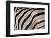 Burchell's Zebra Stripes, Etosha Namibia-Kymri Wilt-Framed Photographic Print