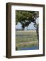 Burchell's Zebras (Equus Burchelli), Chobe National Park, Botswana, Africa-Sergio Pitamitz-Framed Photographic Print