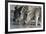 Burchell's Zebras (Equus Burchelli), Khwai Concession, Okavango Delta, Botswana, Africa-Sergio Pitamitz-Framed Photographic Print