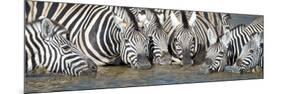 Burchell's Zebras (Equus Quagga Burchellii) at Waterhole, Etosha National Park, Namibia-null-Mounted Photographic Print