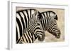 Burchell'S Zebras (Equus Quagga Burchellii) Standing Side By Side. Etosha Np, Namibia-Enrique Lopez-Tapia-Framed Photographic Print