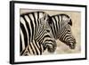 Burchell'S Zebras (Equus Quagga Burchellii) Standing Side By Side. Etosha Np, Namibia-Enrique Lopez-Tapia-Framed Photographic Print