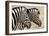 Burchell'S Zebras (Equus Quagga Burchellii) Standing Side By Side. Etosha Np, Namibia-Enrique Lopez-Tapia-Framed Photographic Print