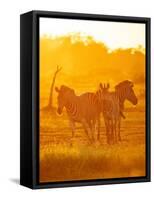 Burchell's Zebras, Makuleke Contractual Park, Kruger National Park-Ben Pipe-Framed Stretched Canvas