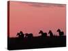 Burchell's Zebras Silhouetted in the Morning Sky of the Maasai Mara, Kenya-Joe Restuccia III-Stretched Canvas