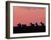 Burchell's Zebras Silhouetted in the Morning Sky of the Maasai Mara, Kenya-Joe Restuccia III-Framed Photographic Print