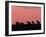 Burchell's Zebras Silhouetted in the Morning Sky of the Maasai Mara, Kenya-Joe Restuccia III-Framed Photographic Print