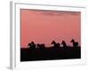 Burchell's Zebras Silhouetted in the Morning Sky of the Maasai Mara, Kenya-Joe Restuccia III-Framed Photographic Print