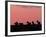 Burchell's Zebras Silhouetted in the Morning Sky of the Maasai Mara, Kenya-Joe Restuccia III-Framed Photographic Print