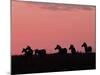 Burchell's Zebras Silhouetted in the Morning Sky of the Maasai Mara, Kenya-Joe Restuccia III-Mounted Photographic Print