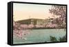 Bureau of Engraving and Printing-null-Framed Stretched Canvas