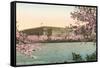 Bureau of Engraving and Printing-null-Framed Stretched Canvas