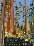 Headwaters Forest Reserve-Bureau of Land Management-Art Print