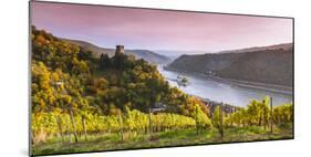 Burg Gutenfels at Sunset, Kaub, Rhineland-Palatinate, Germany-Matteo Colombo-Mounted Photographic Print