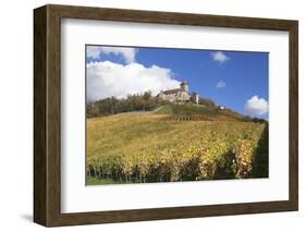 Burg Lichtenberg Castle and Vineyards in Autumn-Markus-Framed Photographic Print