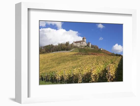 Burg Lichtenberg Castle and Vineyards in Autumn-Markus-Framed Photographic Print