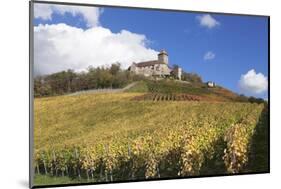 Burg Lichtenberg Castle and Vineyards in Autumn-Markus-Mounted Photographic Print