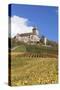 Burg Lichtenberg Castle-Markus-Stretched Canvas