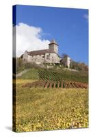 Burg Lichtenberg Castle-Markus-Stretched Canvas