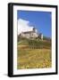 Burg Lichtenberg Castle-Markus-Framed Photographic Print