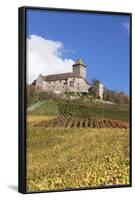 Burg Lichtenberg Castle-Markus-Framed Photographic Print