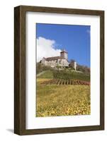 Burg Lichtenberg Castle-Markus-Framed Photographic Print