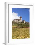 Burg Lichtenberg Castle-Markus-Framed Photographic Print