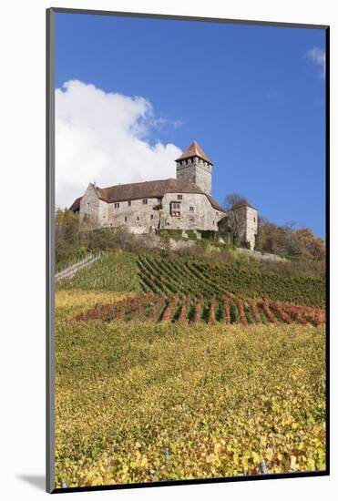 Burg Lichtenberg Castle-Markus-Mounted Photographic Print