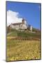 Burg Lichtenberg Castle-Markus-Mounted Photographic Print
