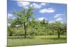 Burg Reichenberg, Oppenweiler, Baden Wurttemberg, Germany-Markus Lange-Mounted Photographic Print