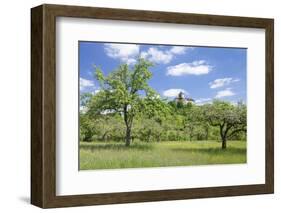 Burg Reichenberg, Oppenweiler, Baden Wurttemberg, Germany-Markus Lange-Framed Photographic Print