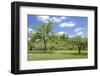 Burg Reichenberg, Oppenweiler, Baden Wurttemberg, Germany-Markus Lange-Framed Photographic Print