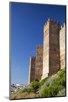 Burgalimar Castle in Andalusia, Spain-Julianne Eggers-Mounted Photographic Print