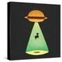 Burger Abduction-Michael Buxton-Stretched Canvas