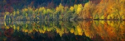 Autumnal Silence-Burger Jochen-Framed Premium Photographic Print