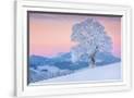 Gramercy White