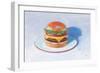 Burger-Wellington Studio-Framed Art Print