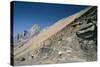 Burgess Shale Fossil Quarry-Alan Sirulnikoff-Stretched Canvas