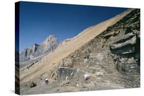 Burgess Shale Fossil Quarry-Alan Sirulnikoff-Stretched Canvas